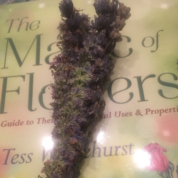 Strength and sweetness botanical wand handmade and handgrown organic herbs - Picture 5 of 5